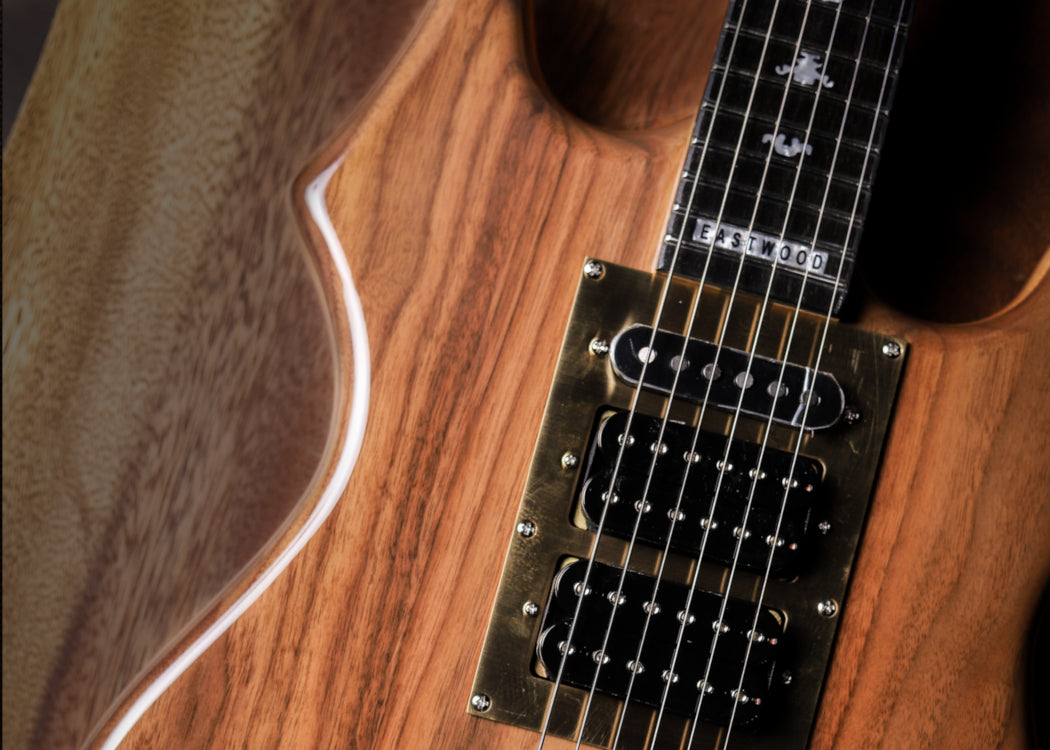 Artist Series – Page 2 – Eastwood Guitars