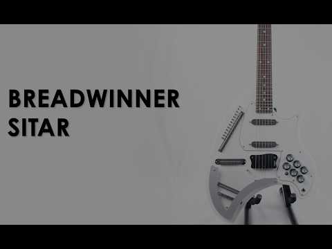 Eastwood Breadwinner Electric Sitar – Eastwood Guitars